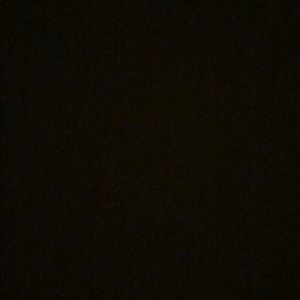 Meet your Posher, Niko